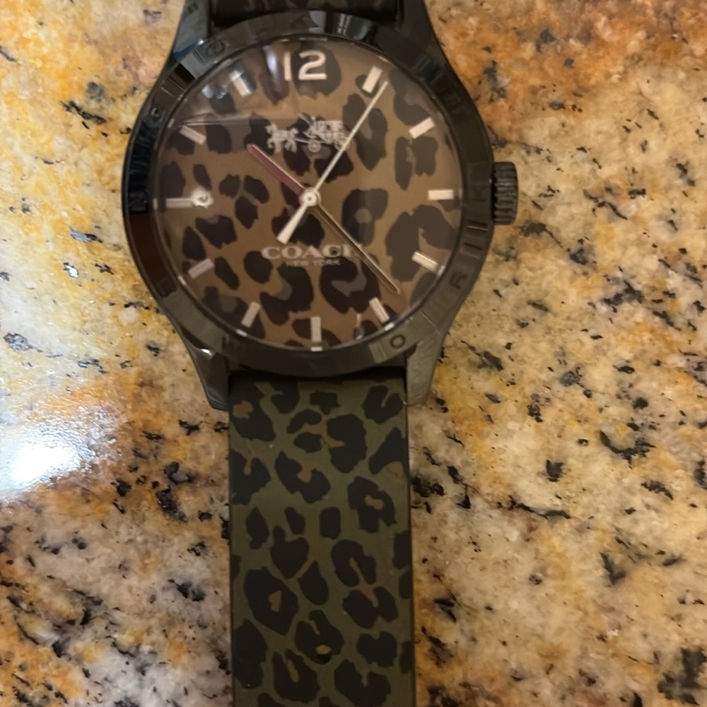 Coach Watch - Picture 6 of 7